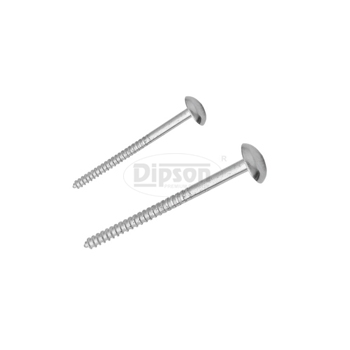 Mirror Screw